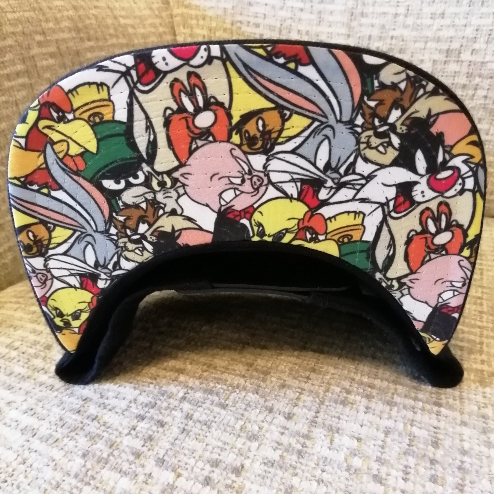 Looney Tunes Embroidered Rainbow Original Snapback. Unisex. NWOT. - Picture 2 of 7